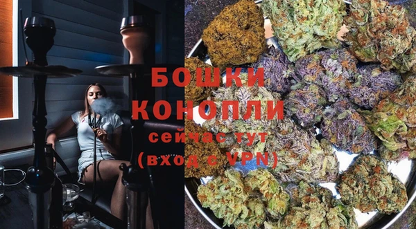 каннабис Михайловка