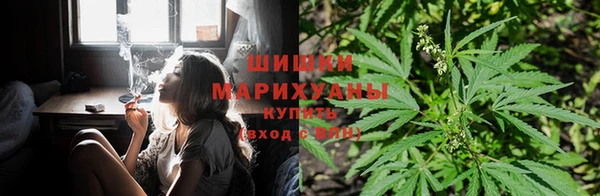 каннабис Михайловка