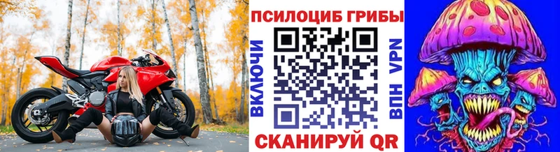 МЕГА ссылки Олонец Псилоцибиновые грибы мицелий магазин продажи
